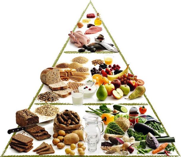 2012.04.22 - Figure 4 (Food Pyramid)