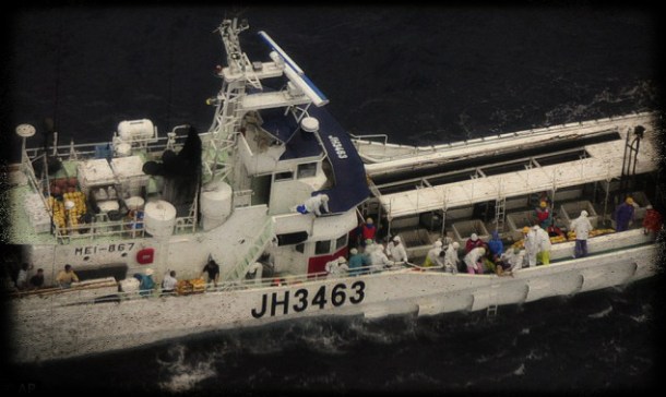 2012.09.24 - Crew Members Missing After Ship Collision in Japan Figure 1