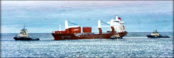 2012.12.24 - Cargo Vessel Grounded Minutes Before the Pilot Gets Onboard Figure 1