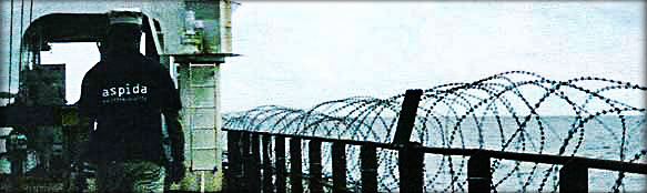 2013.01.31 - Monthly Piracy Report January 2012