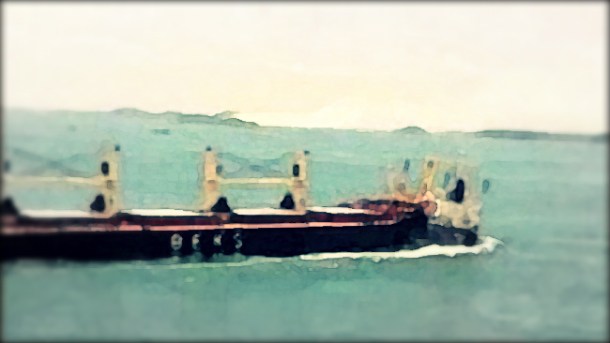 2013.03.05 - Bulk Carrier & Cargo Ship Collide in the Straits of Singapore