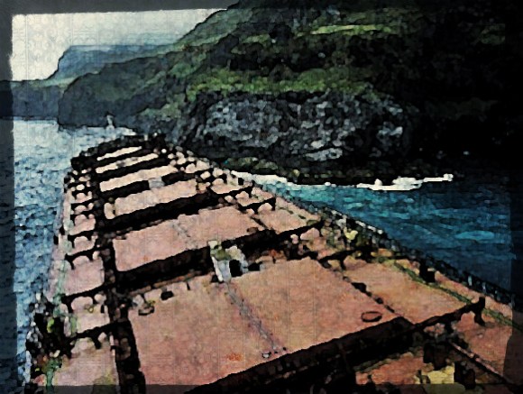 2013.03.18 -Bulk Carrier Runs Aground and Breaks in Half Figure 1