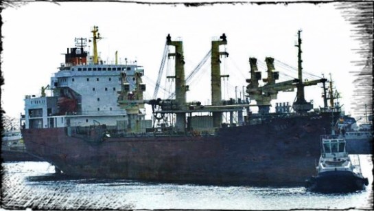 2013.04.04 - Paris MoU Detention Report for Cargo Ship MV Olga Figure 7