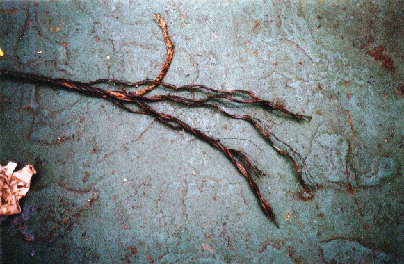 2013.04.22 - Palletised Reefer Cargo Gear Failure Figure 2