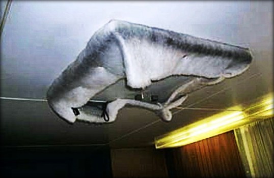 2013.05.01 - MLC 2006 Enforcement through PSC Inspections in Ports MLC 2006 Enforcement through Port State Control Inspections in Ports (MLC Regulation 5.2.1) Figure 9