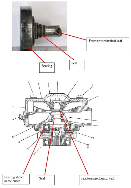 Photo of detached shaft and schematic of the cooling pump