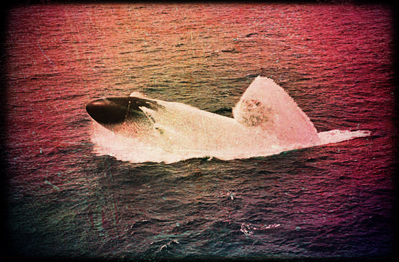 2013.06.10 - The Collision of US Submarine Greeneville and the Fishing Vessel Ehime Maru - Investigation Report Figure 1