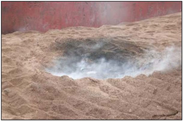 2013.07.12 - Information on Managing Risk While Transporting Fumigated Cargo Figure 4