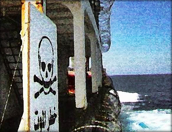 2013.08.07 - Monthly Piracy Report July 2013