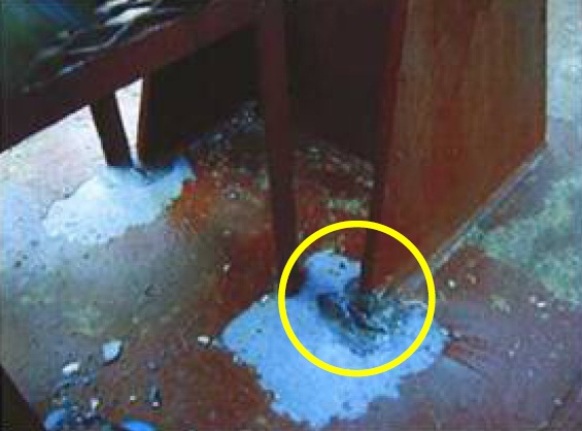 2013.09.04 - Outfitting Related Structural Defects Figure 5