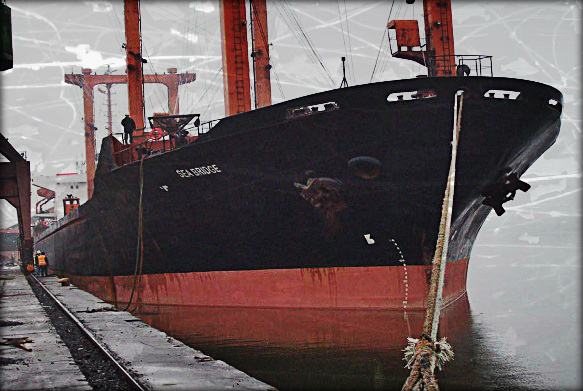 2013.09.19 - Paris MoU Detention Report for Bulk Carrier MV Sea Bridge Figure 1