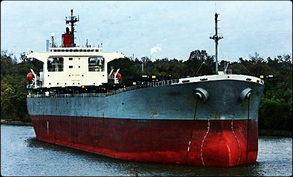 2014.03.17 - Parana River Main Channel Blocked by Grounded Bulk Carrier Figure 1