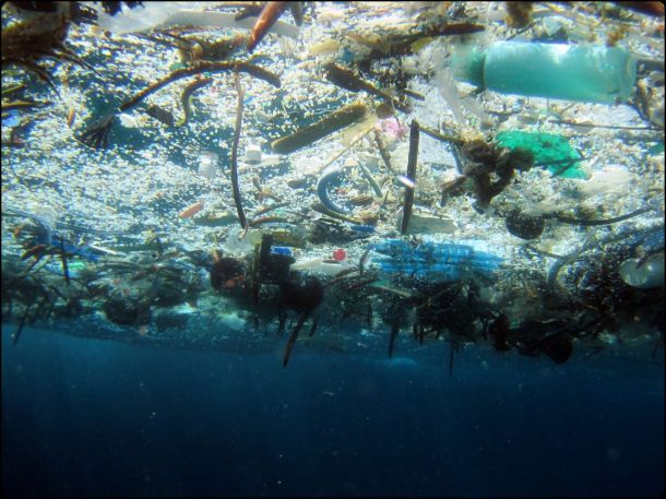 2015.12.16 - ECSA Position Paper on Marine Litter